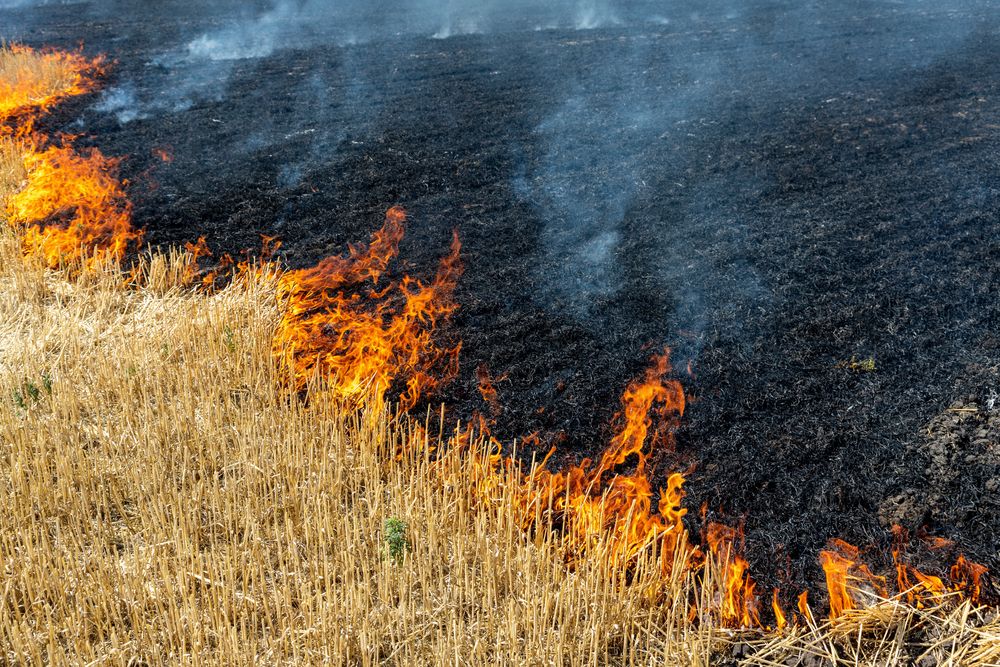 farm fires