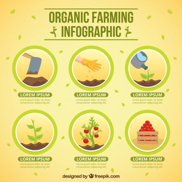 circles with organic farming premium vector