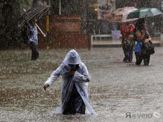 fascinante transparence (2) vinyl64 photos