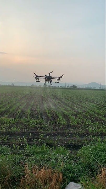 Punjab Drone Didis