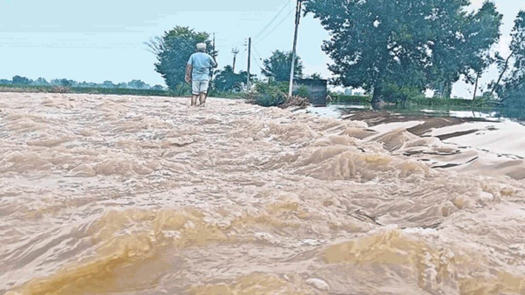 09 09 2025 punjab flood news 1 24040592