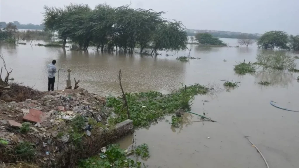 Punjab News 11Sep2025