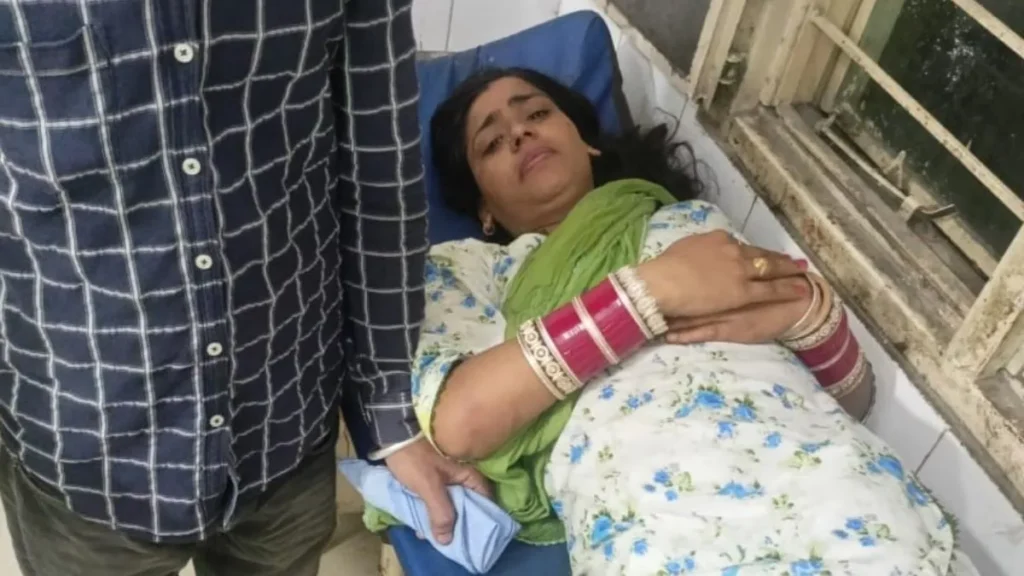 Punjab News 13Sep2025