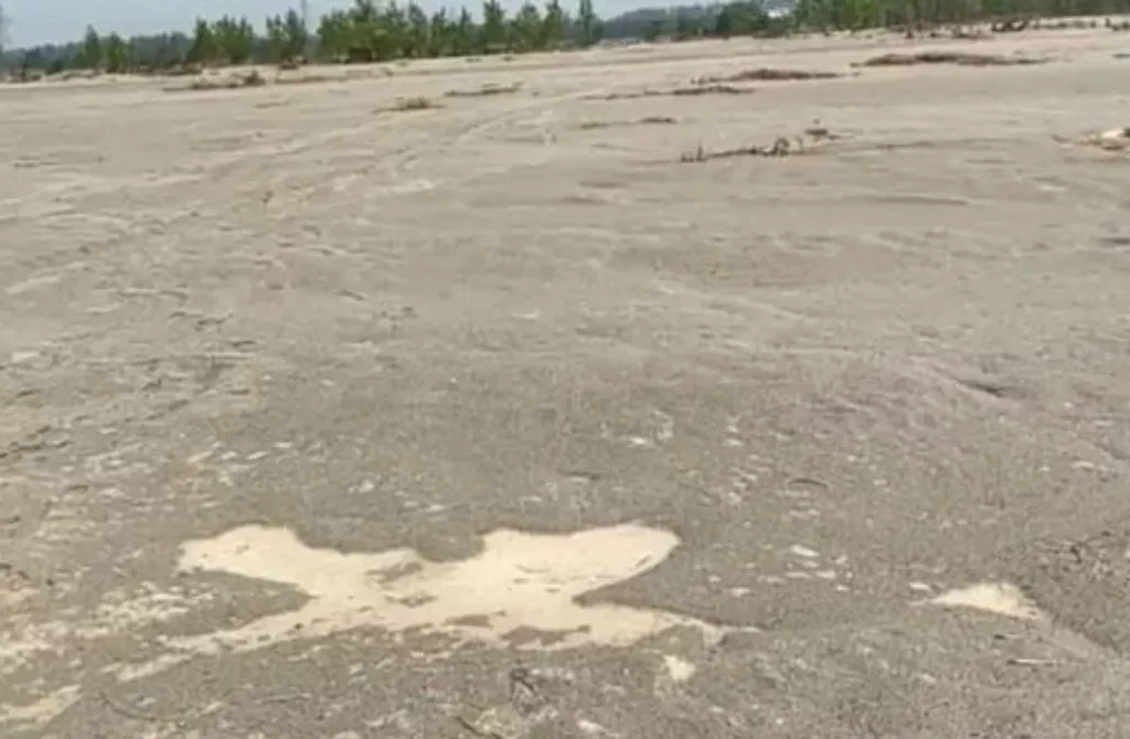 Punjab News 17Sep2025