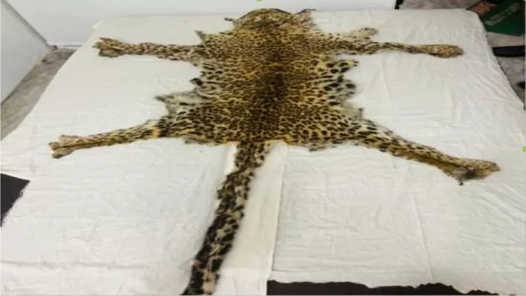 Punjab News 20Sep2025