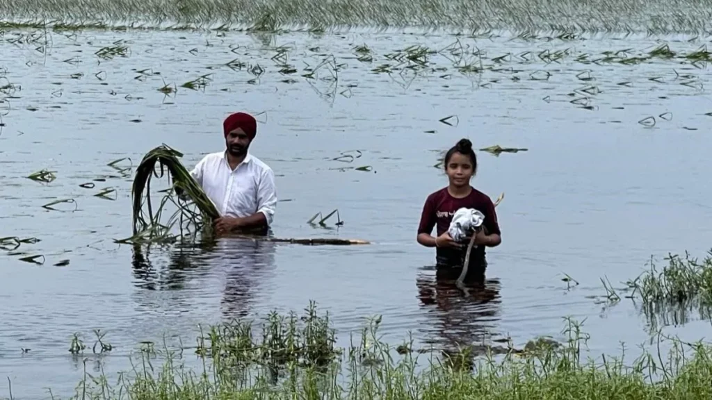 Punjab News 21Sep2025