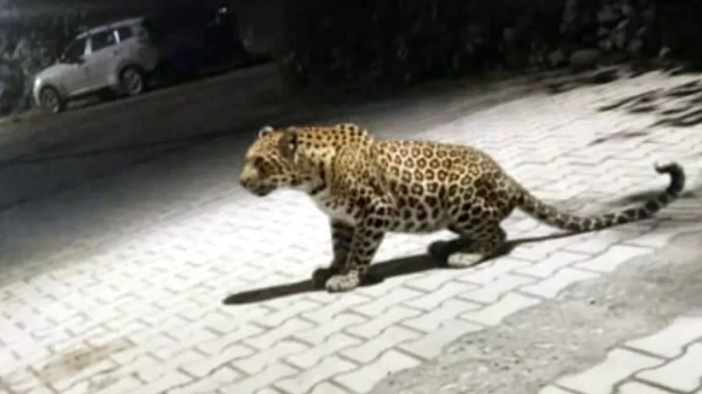 Uttarakhand News 23Sep2025