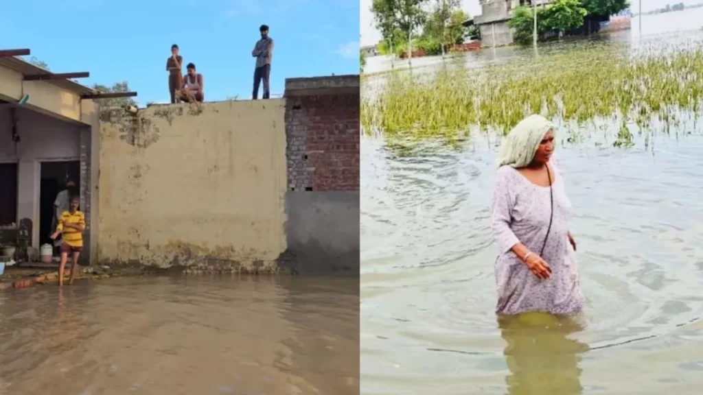 Punjab News 24Sep2025