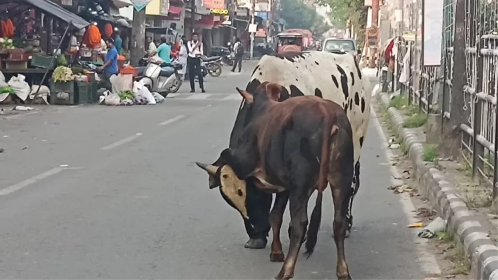 Uttarakhand News 25Sep2025