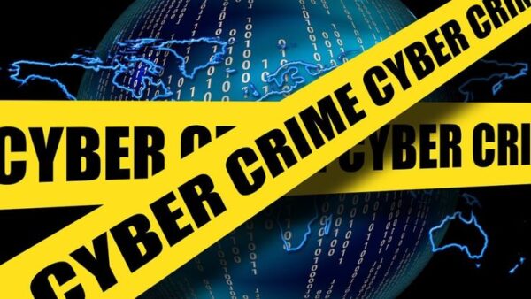 cyber crime lawyer