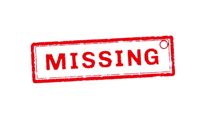 Punjab News 29Sep2025