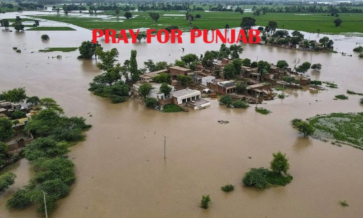 neoc publishes latest flood statistics (august 2025)