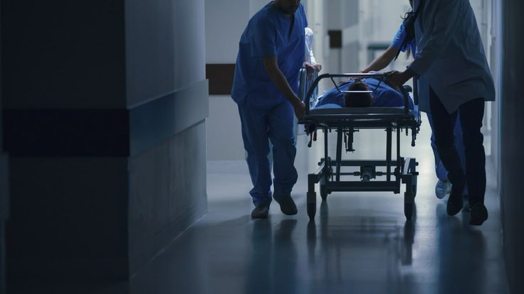 notes from the field detection of medetomidine