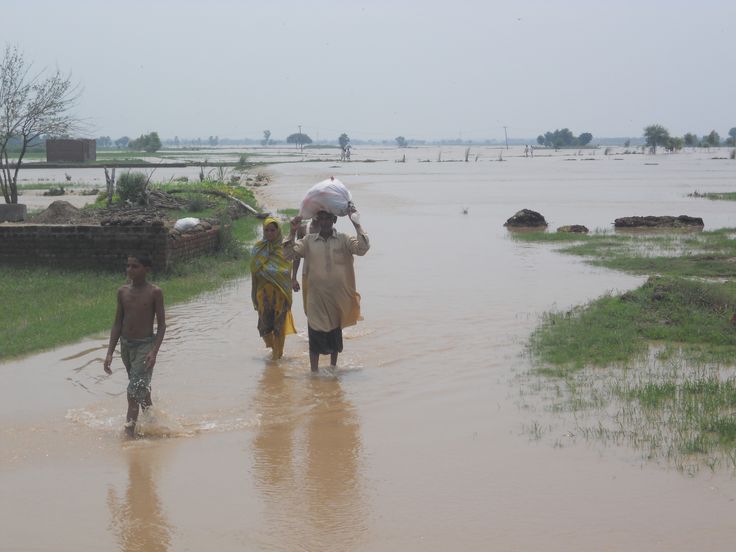 Punjab News 17Sep2025