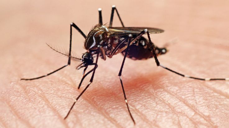 Punjab News 30Sep2025