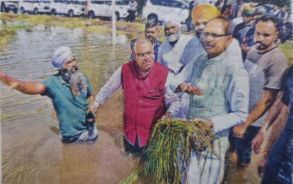 whatsapp image 2025 09 05 at 11.38.25 6a37bb8f