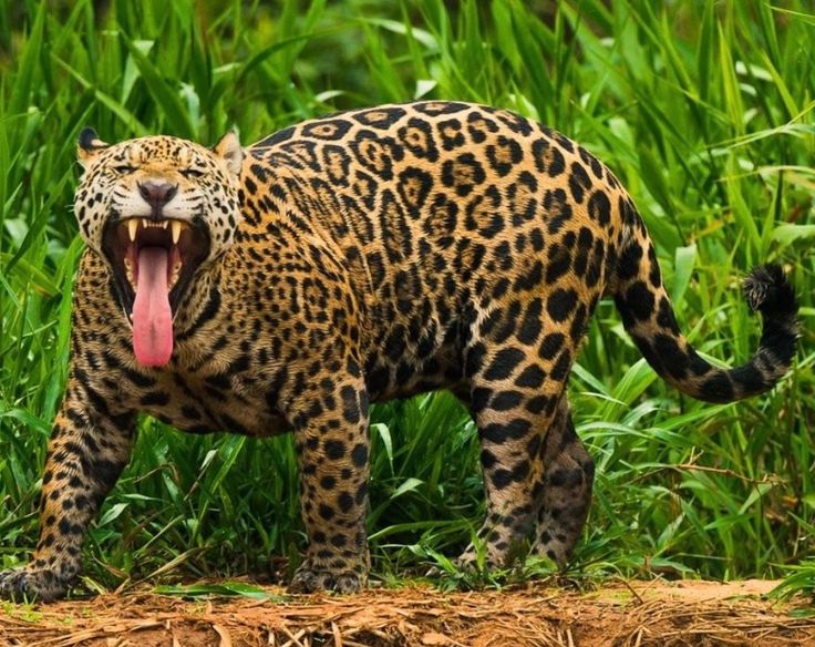 Uttar pradesh News 12Sep2025