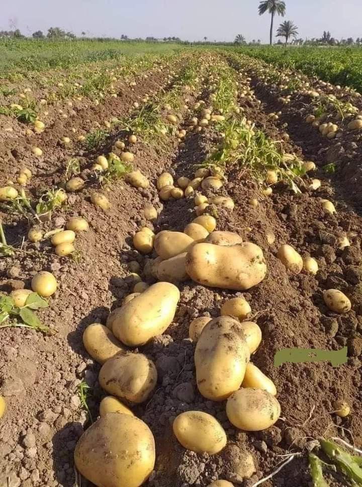 Bijnor News 6Sep2025