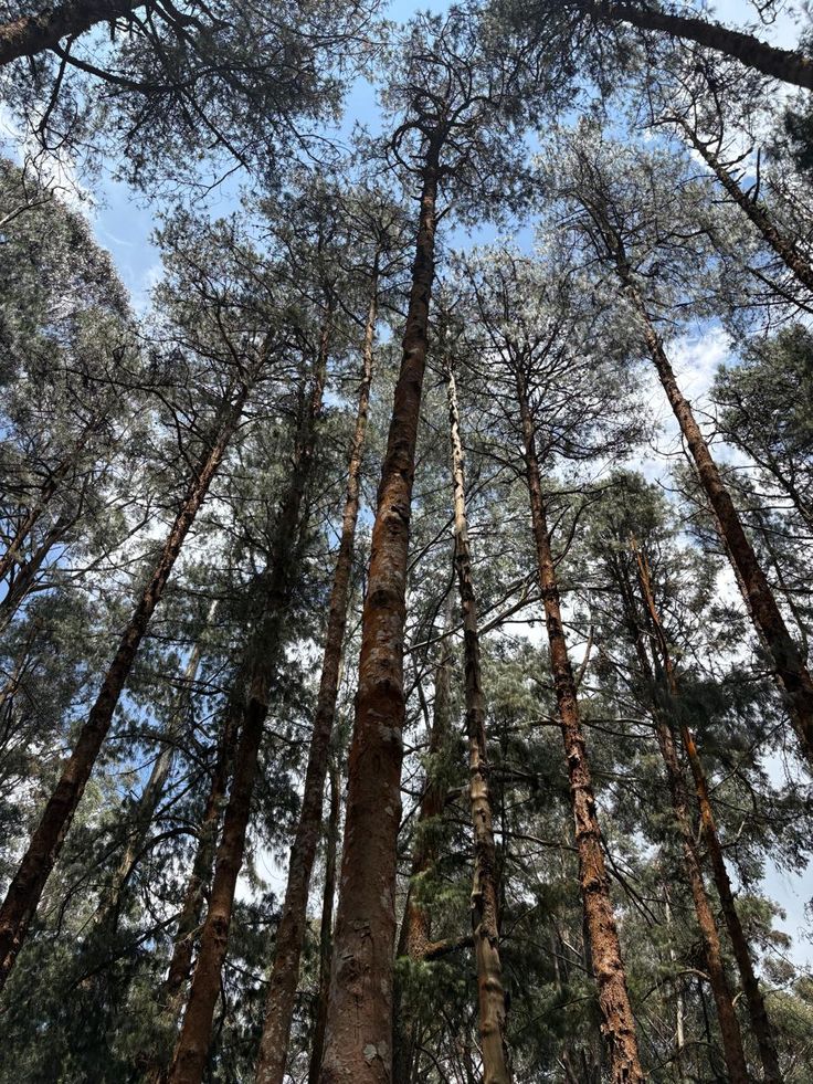 Uttarakhand News 02Sep2025