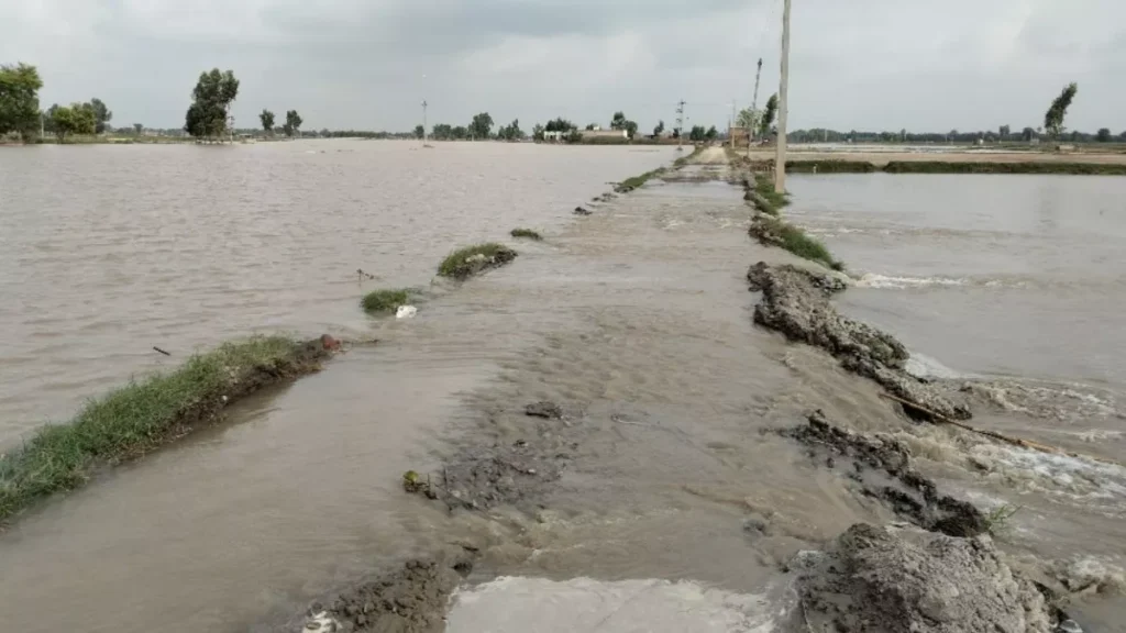 Punjab News 09Oct2025