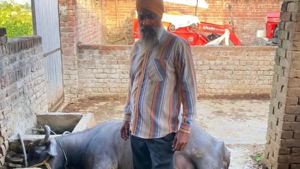 Punjab News 09Oct2025