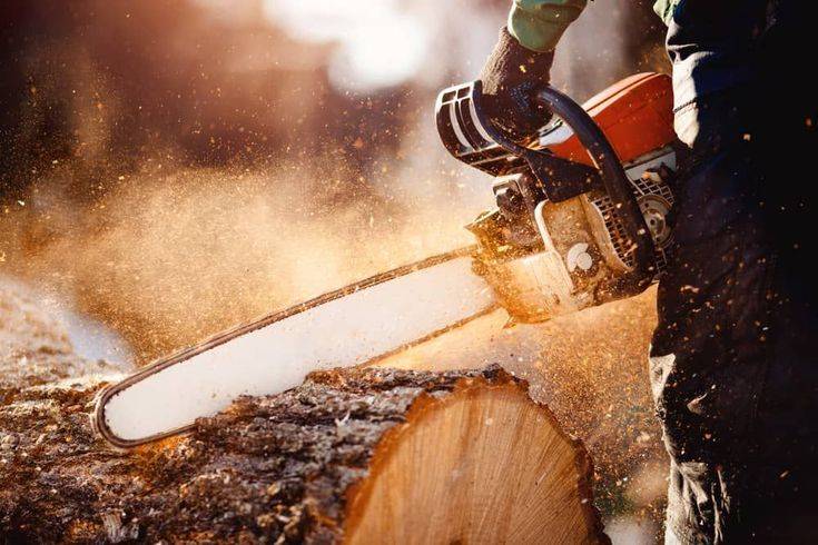7 chainsaw maintenance tips for extending the lifespan