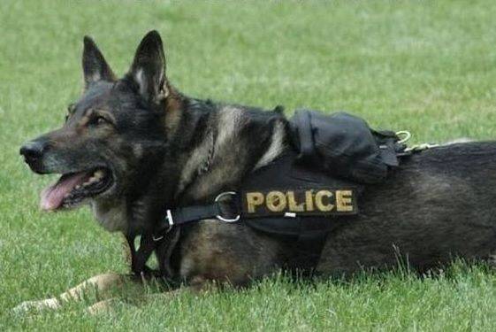 Delhi News 31Oct2025