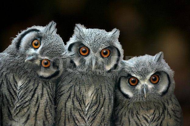 Uttar Pradesh News 14Oct2025