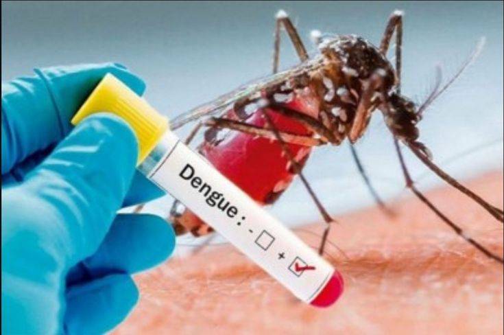 dengue अपडेट अगर आपके घर से डेंगू का लार्वा मिला तो, आज से लगेगा जुर्माना
