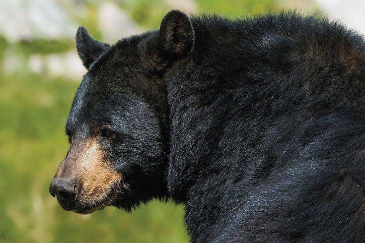 Uttarakhand News 30Nov2025