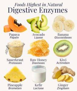 10 Best Foods for Digestive Health