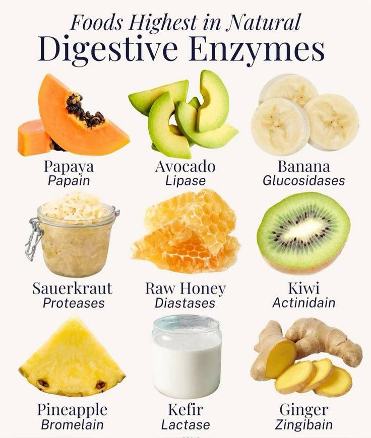 10 Best Foods for Digestive Health