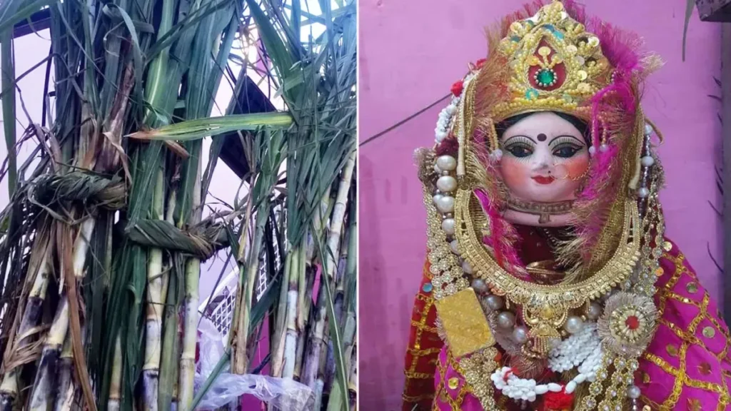 Uttarakhand News 20Oct2025