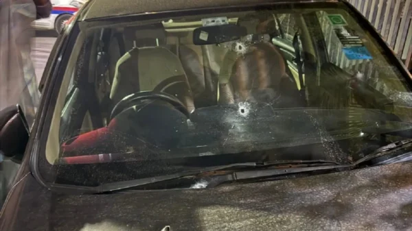 Punjab News 08Nov2025