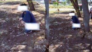 Adelaide para hills australia public nuisance