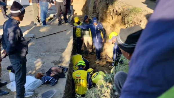 Almora-News-1764068035053