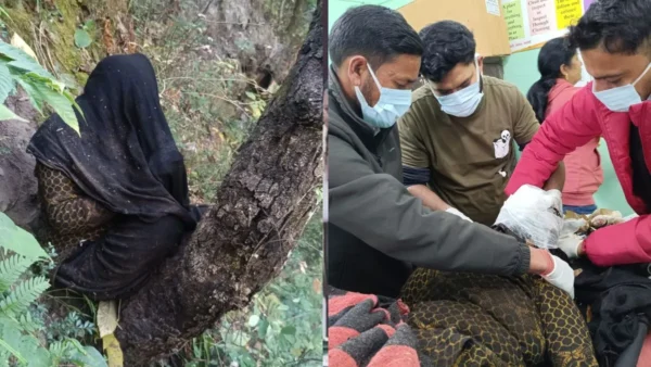 Uttarakhand News 21Nov2025