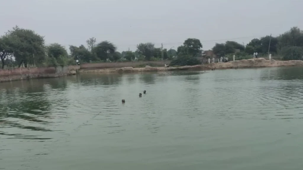 Punjab News 06Nov2025