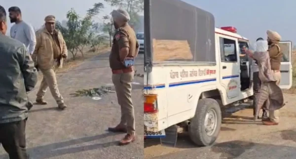 Punjab News 25Nov2025