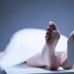 UP News Today 01Dec2025UP News Today 01Dec2025