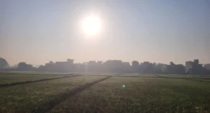 Punjab News 30Nov2025