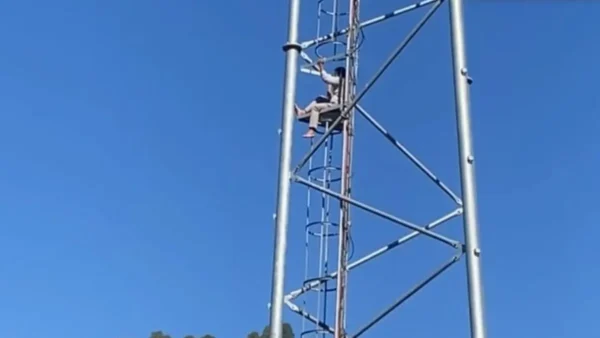 Untitled-4-1762671900836