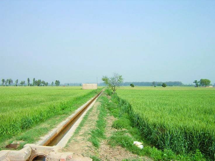 Punjab Government Plans ludhiana financial