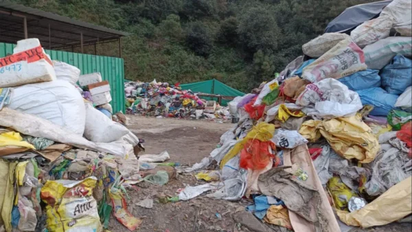 garadge-1763196415590