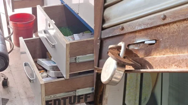 Punjab News 16Nov2025