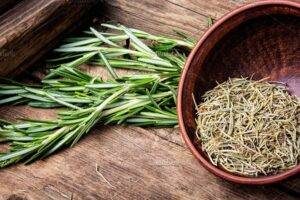 Benefits of rosemary