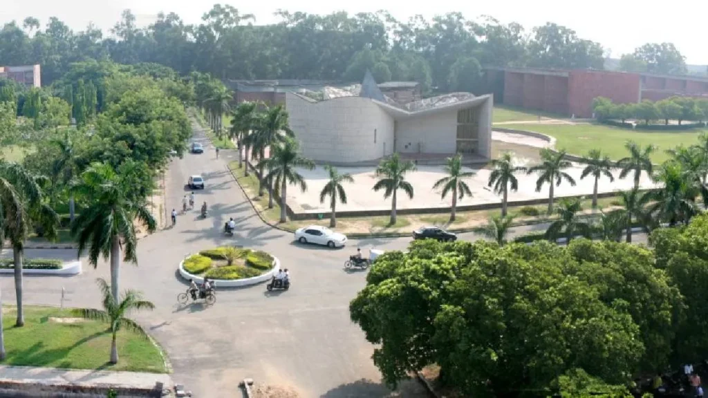 Punjab News 01Nov2025