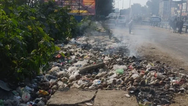 66862470-1765704836398