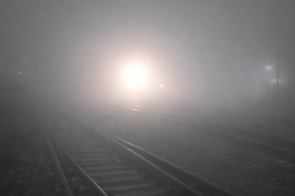 Uttarakhand News 29Dec2025