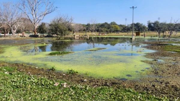 Delhi News 25Dec2025